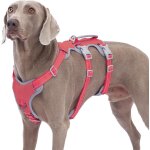 Kalanka - harnais réfléchissant pour chiens - anti - fugue, respirant, gilet ajustable pour grands chiens ... Kalanka - harnais réfléchissant pour chiens - anti - fugue, respirant, gilet ajustable pour grands chiens ...