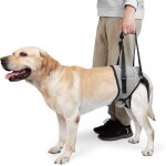 Kalanka - harnais soutien arrière réglable pour chien - aide a la mobilité avec poignée - pour chien ... Kalanka - harnais soutien arrière réglable pour chien - aide a la mobilité avec poignée - pour chien ...