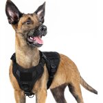 Kalanka - harnais tactiques pour chien s noir, gilets a anneaux pour chiens de travail militaires, harnais ... Kalanka - harnais tactiques pour chien s noir, gilets a anneaux pour chiens de travail militaires, harnais ...
