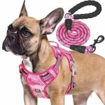 Kalanka - harnais tactique robuste pour chiens de taille moyenne, anti - traction, réglable, réfléchissant, ... Kalanka - harnais tactique robuste pour chiens de taille moyenne, anti - traction, réglable, réfléchissant, ...