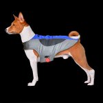 Kalanka - manteau pour chien veste chaude d'hiver coupevent sport vêtements combinaison de ski pour chien ... Kalanka - manteau pour chien veste chaude d'hiver coupevent sport vêtements combinaison de ski pour chien ...