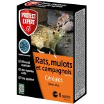 Kalanka - ramucam150 anti rats, mulots & campagnols - 6 sachets de céréales - lieux secs - 125g - efficacité ... Kalanka - ramucam150 anti rats, mulots & campagnols - 6 sachets de céréales - lieux secs - 125g - efficacité ...