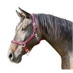 Kerbl mustang licol pour cheval rouge / noir taille 1