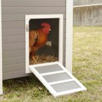 Kerbl poulailler barney plastique 137x73x83 cm gris et blanc