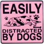 Kjdal - broche en email facile a distraire par les chiens - jolie broche en forme d'animal de dessin ...
