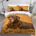 Labrador retriever housse de couette x imprim�� d chien animal parure de lit personnes ado fille enfants ...