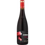 Lacheteau soleil des vignes chinon cabernet franc - vin rouge de la loire 2023