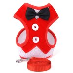 Laisse pour chien et chat, collier pour animal de compagnie, petit et moyen gabarit, teddy, gilet, sangle ...