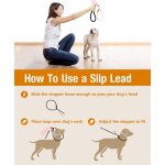 Laisse chien corde 0. 9cm x 180cm laisse pour chien en nylon avec poign�e rembourr�e r�fl�chissant laisse ...