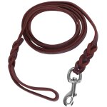 Laisse chien cuir marron, le pour chien, 6ft leather dog, laisse pour chien, laisse pour chien de compagnie, ...