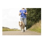Laisse de jogging pour chien avec ceinture ventrale bleu