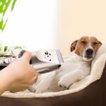 Lame de coupe electrique pour chien et chat, outil de toilettage pour animaux domestiques, lame en c�ramique, ...