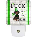 Lampe a economie d'�nergie avec chapeau, chien elfe de la saint - patrick, pour cuisine, chambre a coucher, ...