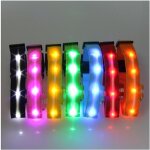 Led collier de chien clignotant en nylon fonc� eclairage s�curit� led collier pour animaux de compagnie ...