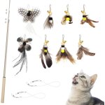 Letnerny - jouet a plumes pour chat - 9 pi�ces r�tractable canne a peche jouet, b�tons de baguette avec ...