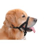 Licols pour chien nobby pet easy leader 4