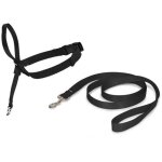 Licol easywalk chien s noir cynnotek cy3597