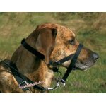 Licol education m 28 cm