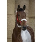 Licol ethologique norton doubl� mouton - couleur : rouge, taille : cheval