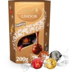 Lindt lindor cornet assorti chocolats m�lang�s 200g