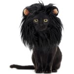 Lion crini�re pour chats (medium, noir) perruque en fourrure pour halloween et no�l - accessoire pour ...