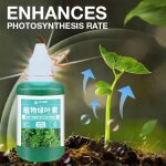 Liquide hydroponique pour plantes en pot, 50ml, fleur de bambou, solution nutritive d'intérieur concentrée, ... Liquide hydroponique pour plantes en pot, 50ml, fleur de bambou, solution nutritive d'intérieur concentrée, ...