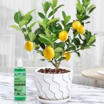 Liquide ro18th agent de semis pour la germination des cadres de fleurs de racines d'arbres, le navigateur ...