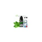 Lot de 10 menthol - ar�me concentr� - 10ml - diy - vapfusion