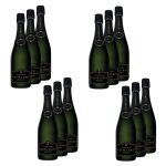 Lot 12x champagne brut veuve leroy aop - bouteille 750ml