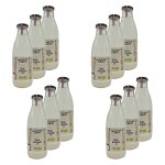 Lot 12x sve de bouleau bio - boisson dtox 100% naturelle - france - bouteille 1l