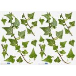 Lot de 2 planches de stickers adh�sif - lierres - 29, 7 x 21 cm