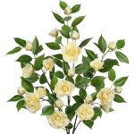 Lot de 3 branches de cam�lia artificielles blanche 95 cm d�co int�rieur soie synth�tique tige plastique ...