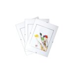 Lot de 3 sous verre photo sans cadre 20x30 cm