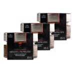 Lot 3x brisures de truffe d?eté - tuber aestivum - pot 25g Lot 3x brisures de truffe d?eté - tuber aestivum - pot 25g