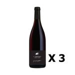 Lot 3x l'instant pinot noir - vignobles berthier - rouge 75cl - loire - vin de france - agriculture raisonn�e ...
