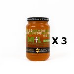 Lot 3x miel de fleurs sauvages - monts du lyonnais - rhne alpes - le rucher de macameli - pot 500g