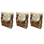 Lot 3x petits pains grill�s su�dois bl� complet bio - paquet 225g