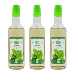 Lot 3x sirop de menthe bio france - bouteille 50cl