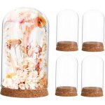 Lot de 5 cloches d�coratives en verre transparent sur base en li�ge blanc, d�me pour fleurs �ternelles, ...