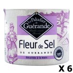 Lot 6x fleur de sel de guérande - le paludier de guérande - boîte 125g Lot 6x fleur de sel de guérande - le paludier de guérande - boîte 125g