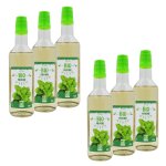 Lot 6x sirop de menthe bio france - bouteille 50cl