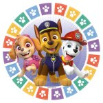Lot 8 assiettes 18cm rondes en papier pat patrouille - paw patrol - amscan