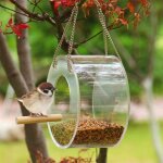 Mangeoire en acrylique pour oiseaux, bote transparente suspendue pour l'extrieur, porte - graines pour ...