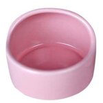 Mangeoire en cramique pour petits animaux de compagnie, bol a eau et a nourriture, fournitures pour ...