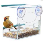 Mangeoire de fenêtre en verre transparent pour oiseaux plateau a graines amovible facile a remplir pxpc ... Mangeoire de fenêtre en verre transparent pour oiseaux plateau a graines amovible facile a remplir pxpc ...