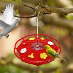 Mangeoire a oiseaux pour tentures extérieures, 16 oz, facile a nettoyer et a remplir Mangeoire a oiseaux pour tentures extérieures, 16 oz, facile a nettoyer et a remplir