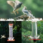 Mangeoire suspendue pour colibri, bol distributeur avec boisson chaude, bouteille transparente en polycarbonat ...