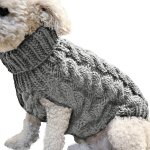 Manteau pour chien mignon, v��tements, combinaison, streetwear, pull pour animaux de compagnie