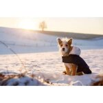 Manteau pour chien teddy 27cm