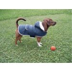 Manteau pour chien teddy 34cm tour du ventre 39 - 50cm